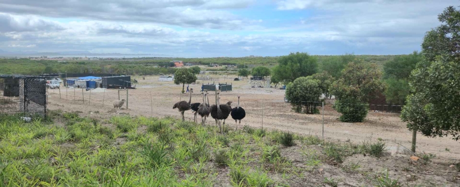 0 Bedroom Property for Sale in Franskraal Western Cape